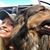 Amanda Boyd's profile image