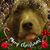 Patricia Pruitt's profile image