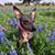 Susan L Brasel's profile image