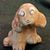 Janet Ledford's profile image