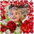 Susan Whiteaker's profile image