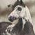 Charlu Kent's profile image