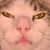 MaryAnn Nolan Jr.'s profile image
