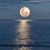 Margo Schramm's profile image