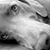 Pamela Bingham's profile image