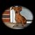 Elizabeth Nelson's profile image