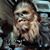 Trapper Flynn's profile image