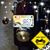 Julie Ray's profile image