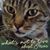 Barbara Bourget's profile image