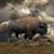 Tate Billington's profile image