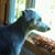 Patty Lennon Hopkins's profile image