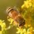 Kathy Underwood Carpineto's profile image