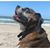 Kathy DiDonato's profile image