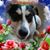 Sara Flynn's profile image
