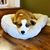 Lorrie Hestand Clarkson's profile image