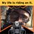 Neil Maricle's profile image