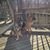 Baumwolle German Shepherds's profile image