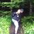 David Beecher's profile image