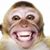 Terry Hornberger's profile image