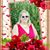 Nancy Dawn Searcy's profile image