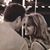 Connie Salka March's profile image