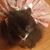 Mary D Wright's profile image