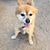 Debbie Roles-Pugh's profile image