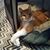 Judy LaFave's profile image