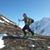 Kelly Biehl Allyn's profile image