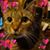 Deb Laughman Spitzer's profile image