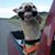 Bruce Weitz's profile image