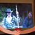 Ken McAllister's profile image