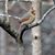 Kathie DeLong Patterson's profile image