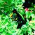 Chittu Arun's profile image