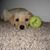 Jim-Barb Thompson's profile image