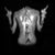 Jennifer Scott's profile image