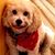 Ruth B Hayne's profile image
