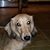 Anne Thibault's profile image