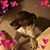 Mary Worley's profile image