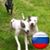 Robin Smith-lutz's profile image