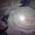 Donna Rose's profile image