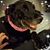 Brenda Faires's profile image