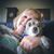 Vicki Reese Howard's profile image