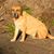 Cheryl David's profile image