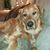 Kathleen Goldsmith Reinhard's profile image