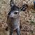 Kathy Dudley's profile image