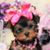 Deborah Treacy's profile image
