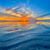 Nancy Gardner's profile image