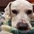 Beverly Jo Fox's profile image