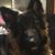 Mai Skillman's profile image